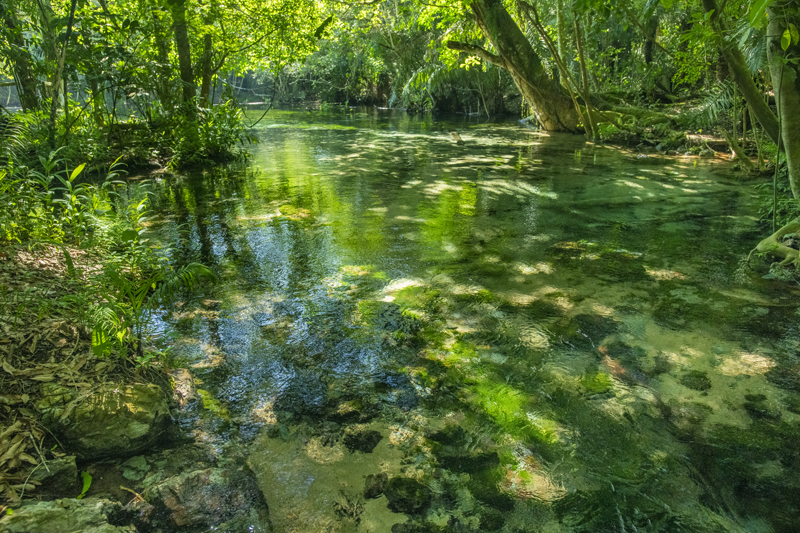 Bonito - Photo by Hudson Garcia (7)